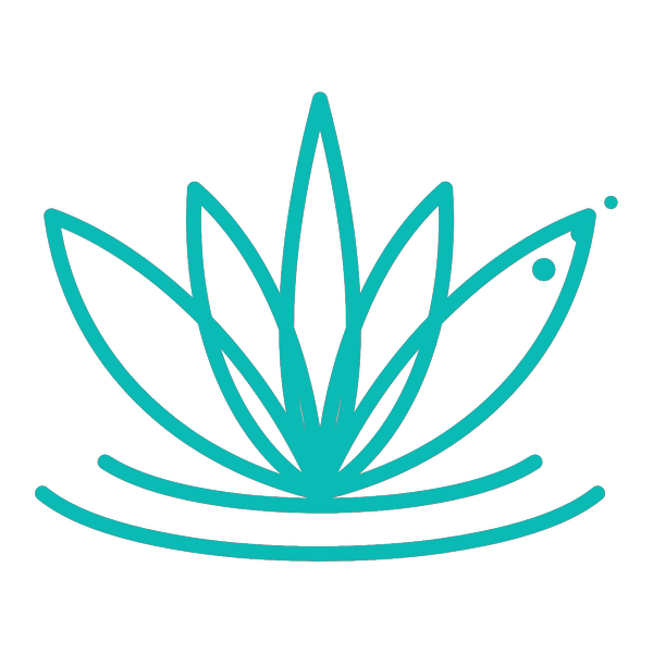 Platinum Wellness Spa